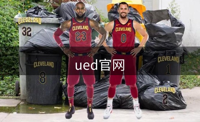 网站概况